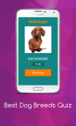 Best Dog Breeds Quiz screenshot 7