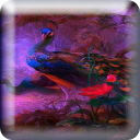 Peacock 3D LiveWP Icon