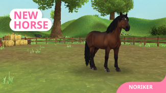 Star Stable Horses screenshot 7