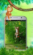 Funny Monkey Live Wallpaper screenshot 1