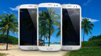 Seashore Live Wallpaper FREE screenshot 4