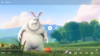Pro Media Player screenshot 3