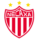 Club Necaxa Icon