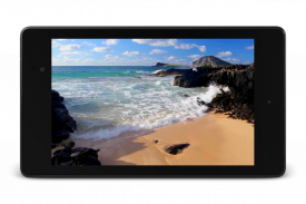 Relax Video Live Wallpaper screenshot 10