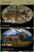 المكالمات الصيد ذئب screenshot 1