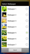 daffodil hidup wallpaper screenshot 7