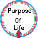 purpose of life and death book