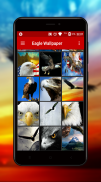 Eagle Wallpaper screenshot 5