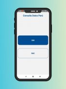 Consulta de Datos Perú screenshot 0