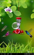 Hummingbirds wallpaper screenshot 4