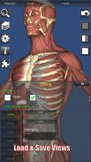 3D Bones and Organs (Anatomy) screenshot 8