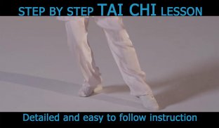 Tai Chi for Beginners 24 Form screenshot 3