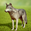 She Wolf Icon