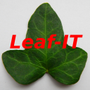 Leaf-IT