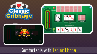 Cribbage classic - card games screenshot 9