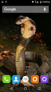 Snake Hd Wallpaper screenshot 1