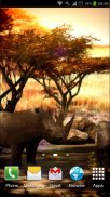 Africa 3D Free Live Wallpaper screenshot 0