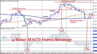 Forex 4 Hour MACD Strategy screenshot 3