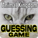 Animal Kingdom Guessing Game