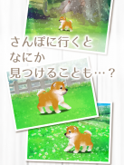 癒しの子犬育成ゲーム〜柴犬編〜 screenshot 2