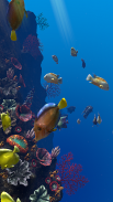 Ocean Aquarium screenshot 7