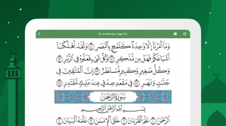 Al Quran (Tafsir & by Word) screenshot 10