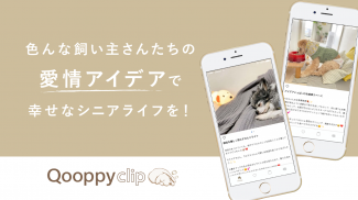 愛犬のシニアライフをサポートするQooppyclip screenshot 0