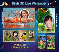 Birds 3D Live Wallpaper screenshot 1