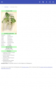 Perennial herbs screenshot 9