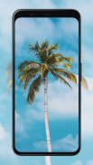 Palm Tree Wallpapers screenshot 7