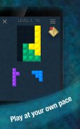 Infinite Block Puzzle screenshot 13