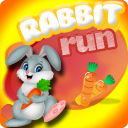 Rabbit Run Icon