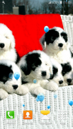 Cute Puppies Live Wallpapers screenshot 3