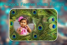 Peacock Feather Photo Frames screenshot 4