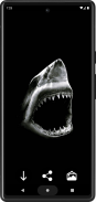 Shark Wallpapers screenshot 0