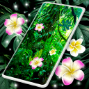 Jungle Live Wallpaper 🌴 Palm Forest Themes Icon