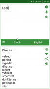 Czech - English Translator screenshot 2