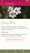 Flores de Bach screenshot 16