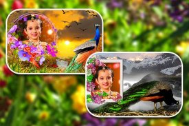 Peacock Photo Frames screenshot 0