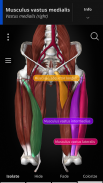 Anatomyka - 3D Anatomy Atlas screenshot 3
