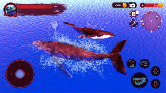 The Humpback Whales screenshot 23