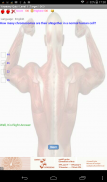 Human Anatomy Quiz -Nurse Exam screenshot 8