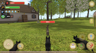 Cat Simulator : Kitties Family screenshot 3