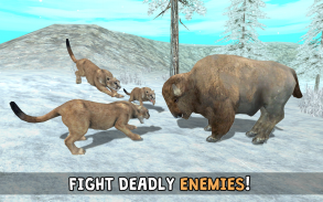 Wild Cougar Sim 3D screenshot 3