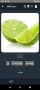 Afrikaans Language Tests screenshot 1