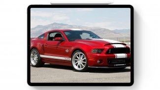 Wallpapers For Mustang Shelby Cars screenshot 1