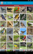 Australian Birds Sounds Free screenshot 6