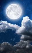 Moonlight HD Wallpapers-Moon Wallpaper Background screenshot 1