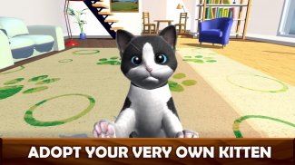 Daily Kitten : kucing maya screenshot 1
