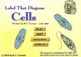 Label that Diagram - Cells screenshot 13